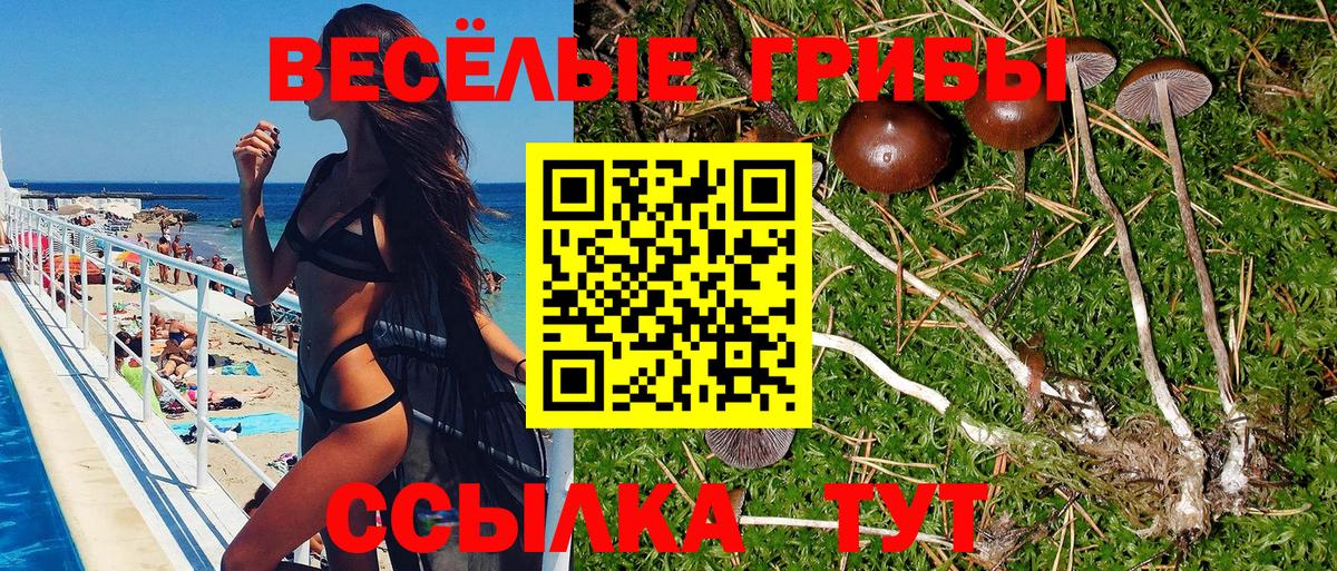 Галлюциногенные грибы Psilocybine cubensis  Вход с VPN  Зима 