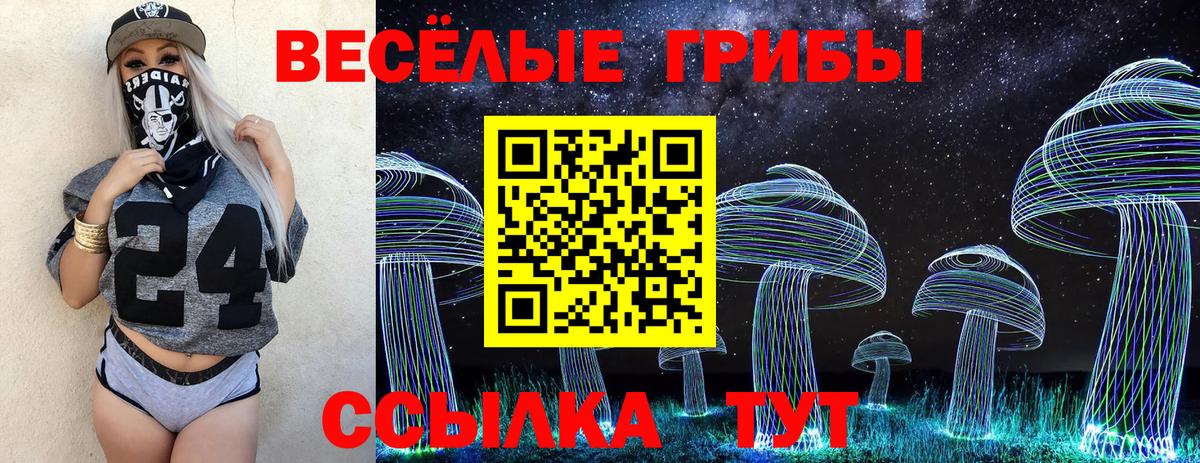 А ПВП Зима